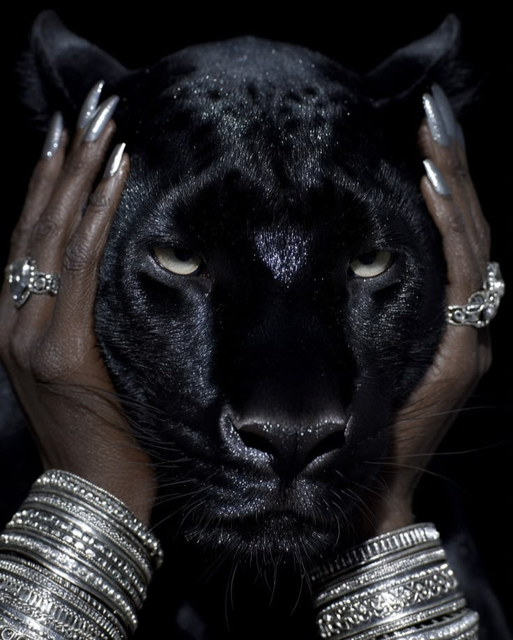 BLACK CODE