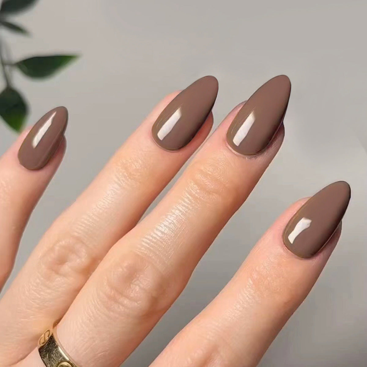 Glossy Solid