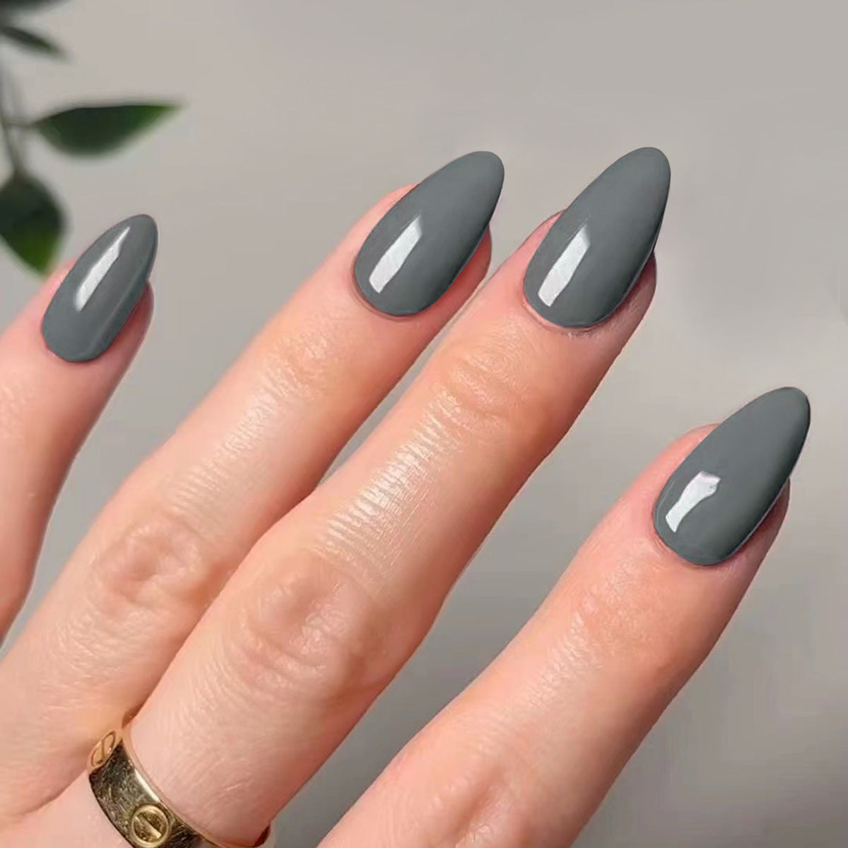 Glossy Solid