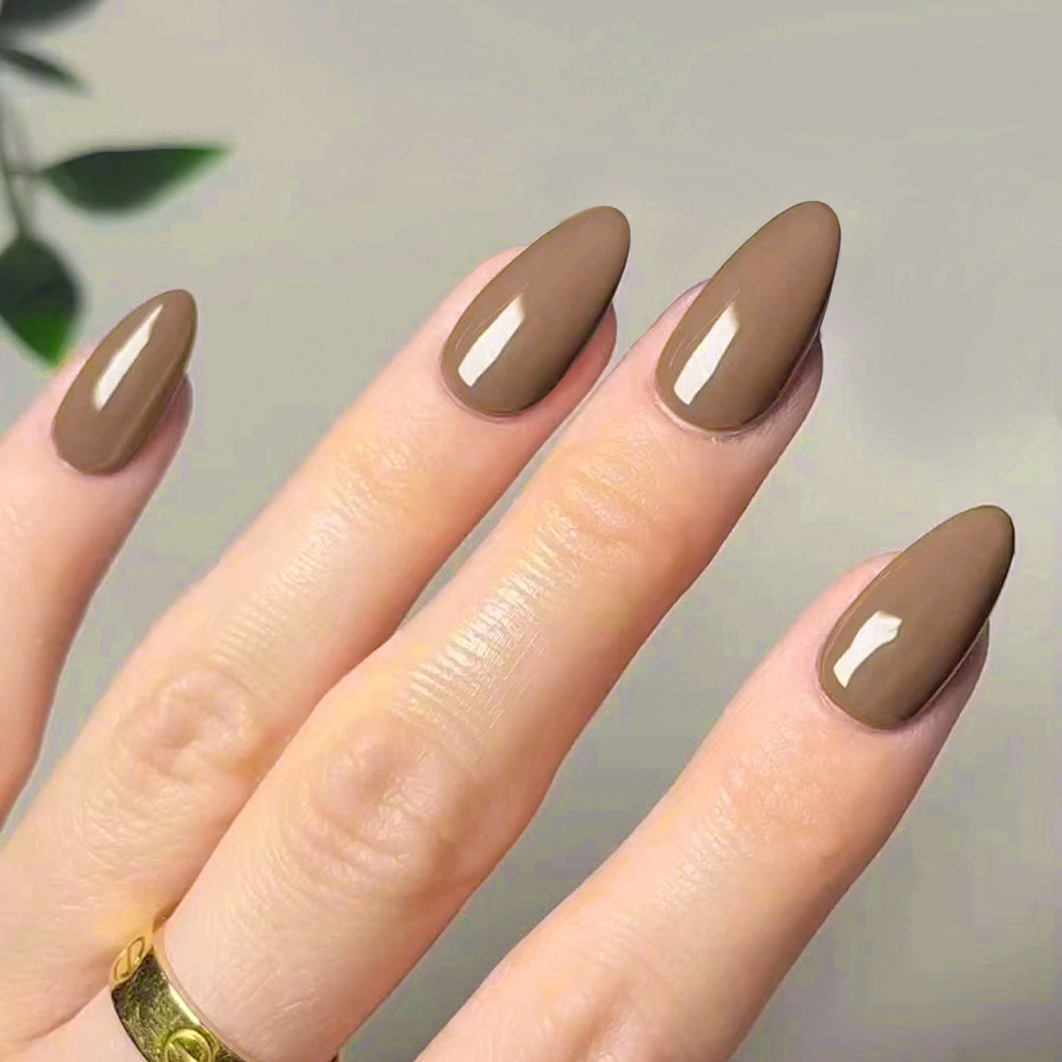 Glossy Solid