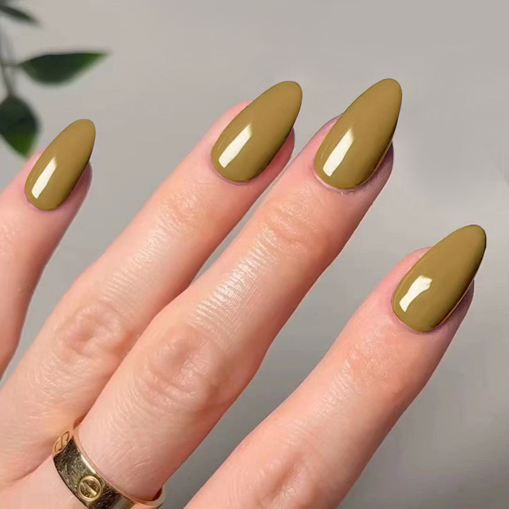 Glossy Solid