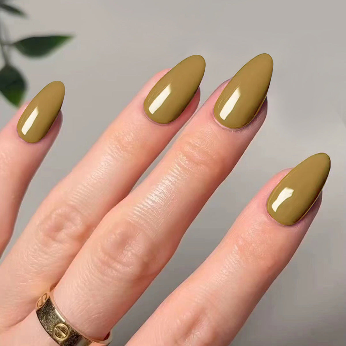 Glossy Solid